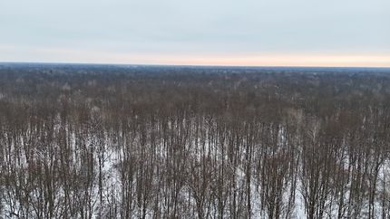 Hunting Land for sale in Midland County, Michigan