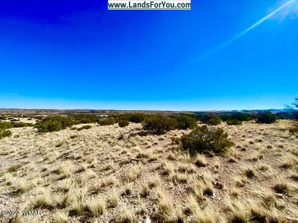 Undeveloped Land for sale in Apache County, Arizona