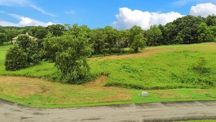Undeveloped Land for sale in Washington County, Virginia
