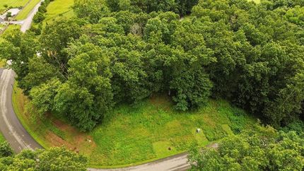 Undeveloped Land for sale in Washington County, Virginia