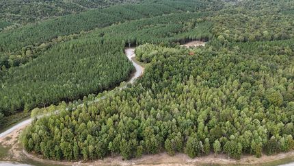 Undeveloped Land for sale in Perry County, Tennessee