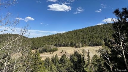 Undeveloped Land for sale in Gilpin County, Colorado