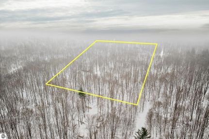 Undeveloped Land for sale in Antrim County, Michigan
