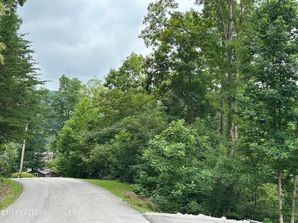 Undeveloped Land for sale in Campbell County, Tennessee