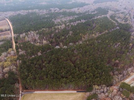 Undeveloped Land for sale in Choctaw County, Mississippi