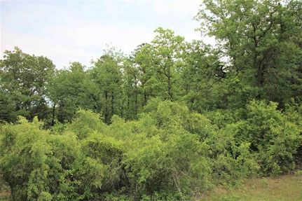 Property for sale in Marion County, Georgia