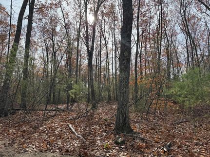 Undeveloped Land for sale in York County, Maine