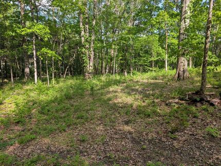 Undeveloped Land for sale in Davidson County, Tennessee