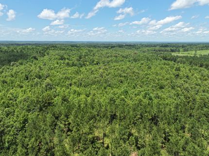 Ranch Property for sale in Harrison County, Texas