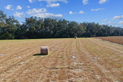 Property for sale in Levy County, Florida