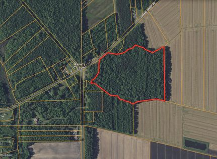 Hunting Land for sale in Beaufort County, North Carolina