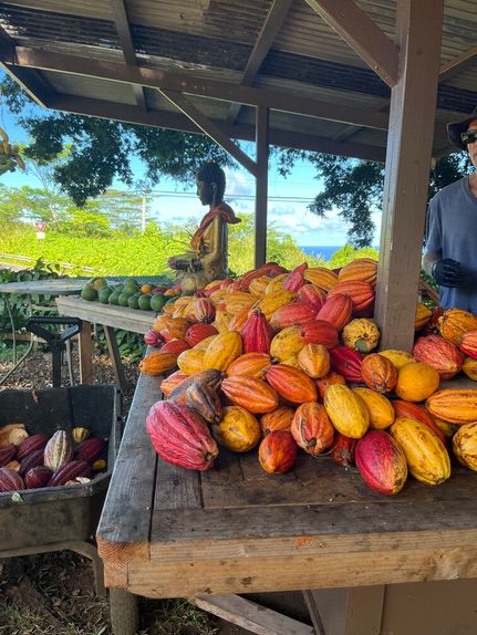 Property for sale in Maui County, Hawaii