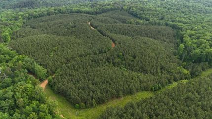 Recreational Property for sale in Tishomingo County, Mississippi