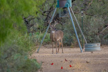 Recreational Property for sale in Concho County, Texas