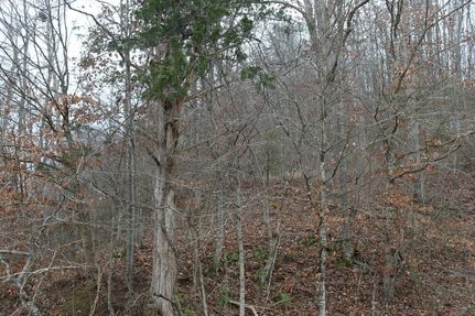 Hunting Land for sale in Morgan County, Kentucky