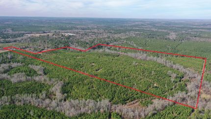 Hunting Land for sale in Marion County, Texas