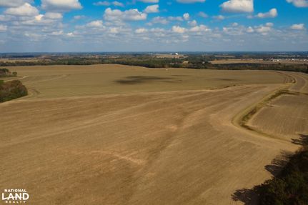 Undeveloped Land for sale in Henry County, Alabama