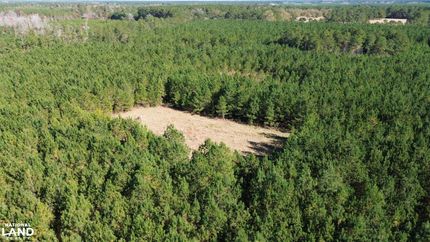 Property for sale in Williamsburg County, South Carolina