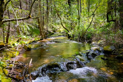 Hunting Land for sale in Amador County, California