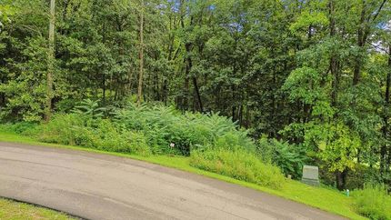 Undeveloped Land for sale in Washington County, Virginia