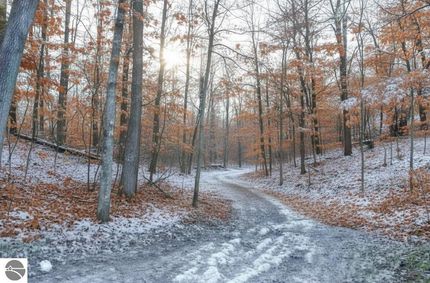 Undeveloped Land for sale in Grand Traverse County, Michigan