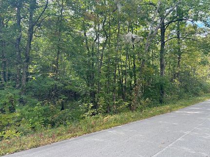 Undeveloped Land for sale in Penobscot County, Maine