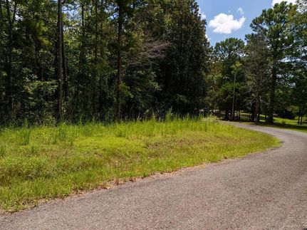 Undeveloped Land for sale in Walker County, Alabama