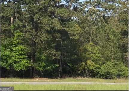 Undeveloped Land for sale in Lee County, Georgia