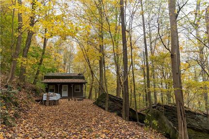 Undeveloped Land for sale in Holmes County, Ohio
