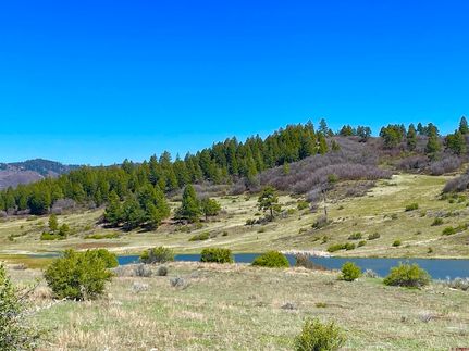 Undeveloped Land for sale in Archuleta County, Colorado