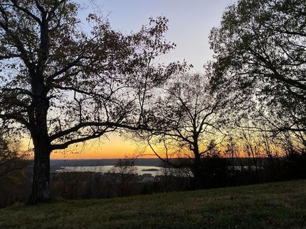 Undeveloped Land for sale in Taney County, Missouri