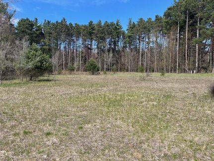 Undeveloped Land for sale in Mason County, Michigan