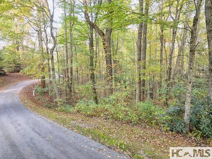 Undeveloped Land for sale in Jackson County, North Carolina