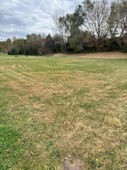 Undeveloped Land for sale in Brown County, Minnesota