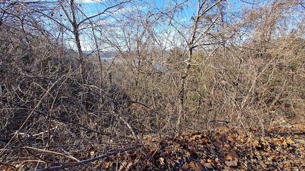 Lakefront Property for sale in Taney County, Missouri