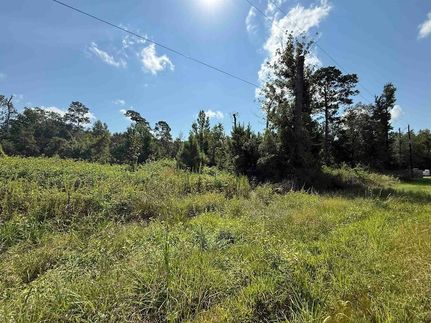 Undeveloped Land for sale in Orange County, Texas