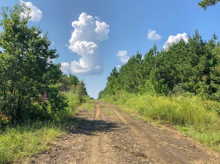 Timberland Property for sale in Tyler County, Texas