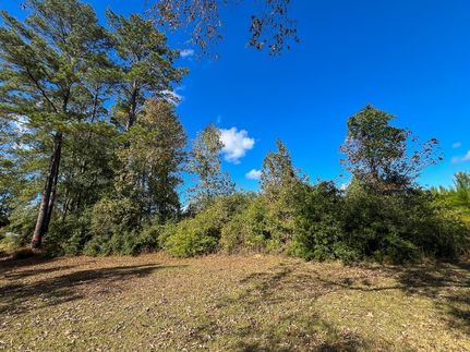 Undeveloped Land for sale in Hardin County, Texas