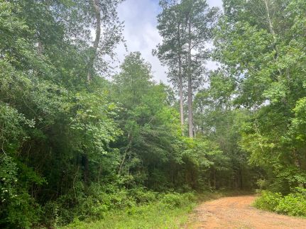 Property for sale in Hardin County, Texas