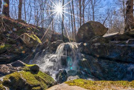 Hunting Land for sale in Oglethorpe County, Georgia