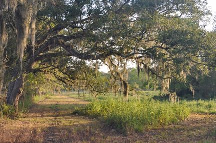 Farm Property for sale in Brazoria County, Texas