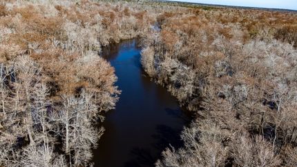 Waterfront Property for sale in Calhoun County, Florida