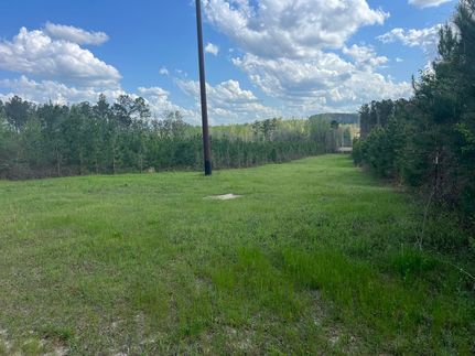 Recreational Property for sale in Barbour County, Alabama