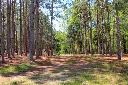 Timberland Property for sale in Dale County, Alabama