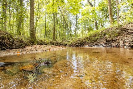 Property for sale in Holmes County, Florida