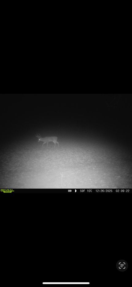 Recreational Property for sale in Alcorn County, Mississippi