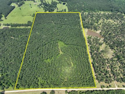 Undeveloped Land for sale in Trinity County, Texas