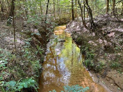 Farm Property for sale in Sabine County, Texas