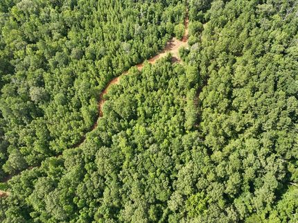 Recreational Property for sale in Houston County, Texas