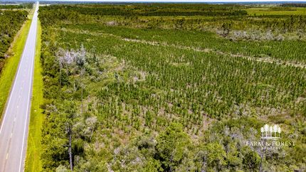 Undeveloped Land for sale in Gulf County, Florida
